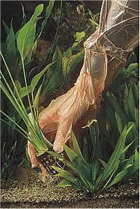 Pond Filters, Water Treatments - Pond Gloves