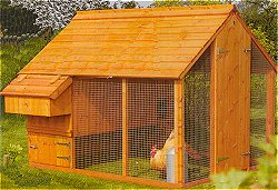 The Orpington - Orpington Poultry House 1006