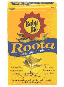 House Plant Care - Baby Bio Roota