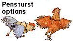The Penshurst Range - Penshurst poultry house options