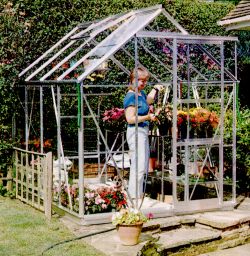 Regent Royale and Regent Package - 6ft wide Greenhouses