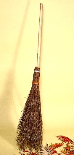 Broom - Beesom Broom