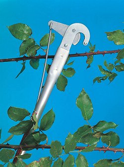Pruners and Fruit Pickers - Streamline Tree Pruner with Saw Attachment