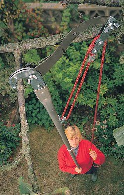 Pruners and Fruit Pickers - Telescopic Tree Pruner with Saw Attachment