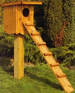 duck nesting boxes - The Square Duck Nest Box