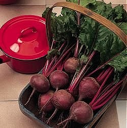 Beetroot Boltardy - Vegetable Seeds