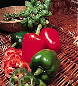 Capsicum (Sweet Pepper) Worldbeater - Vegetable Seeds