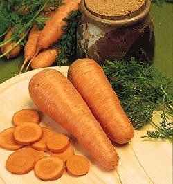Carrot Autumn King 2 - Vegetable Seeds