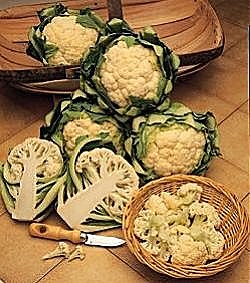 Cauliflower All The Year Round - Vegetable Seeds