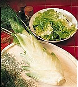 Florence Fennel Sirio - Vegetable Seeds