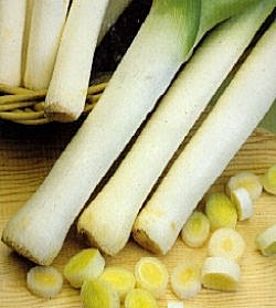 Leek Musselburgh - Vegetable Seeds