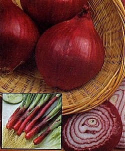 Onion Redmate - Vegetable Seeds