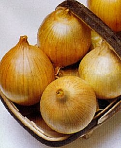Onion Ailsa Craig - Vegetable Seeds