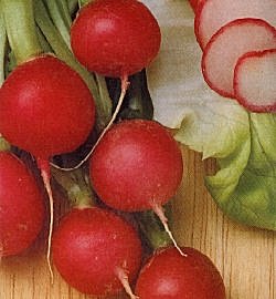 Radish Pink Beauty - Vegetable Seeds