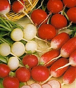 Radish Mixed - Vegetable Seeds