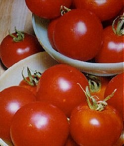 Tomato Ailsa Craig - Vegetable Seeds