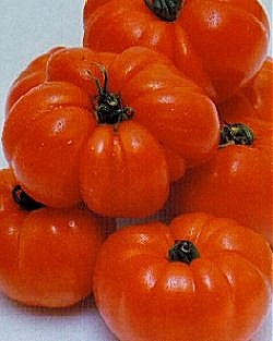 Tomato Marmande - Vegetable Seeds