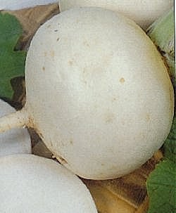 Turnip Snowball - Vegetable Seeds
