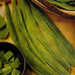 Runner Bean Scarlet Emperor - Vegetable Seeds