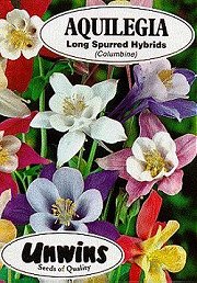 AQUILEGIAS MCKANNAS LONG SPURRED HYB. - Hardy Perennials