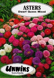 ASTER DWARF QUEEN MIXED - Half Hardy Annuals