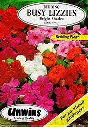 BUSY LIZZIES BRIGHT SHADES - Half Hardy Annuals