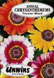 CHRYSANTHEMUM TRICOLOR MIXED - Hardy Annuals