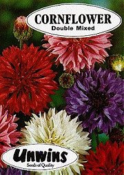 CORNFLOWER DOUBLE MIXED - Hardy Annuals