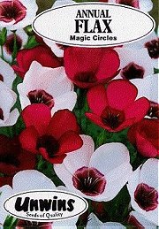 FLAX (ANNUAL) MAGIC CIRCLES - Hardy Annuals