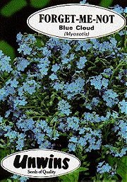 FORGET-ME-NOT BLUE - Hardy Biennials