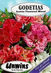 GODETIA AZALEA FLWD MIXTURE - Hardy Annuals