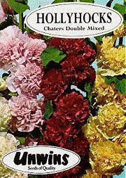 HOLLYHOCK CHATERS DOUBLE - Half Hardy Annuals