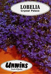 LOBELIA CRYSTAL PALACE - Half Hardy Annuals