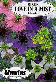 LOVE IN THE MIST ALLSORTS - Hardy Annuals
