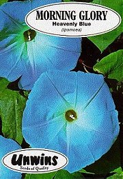 MORNING GLORY HEAVENLY BLUE - Half Hardy Annuals