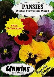 PANSY WINTER FLOWERING MIXED - Half Hardy Annuals