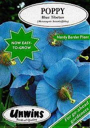 POPPY BLUE TIBETAN (MECONOPSIS) - Hardy Perennial