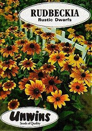 RUDBECKIA RUSTIC DWARFS - Half Hardy Annuals