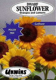 SUNFLOWER ORANGES AND LEMONS - 