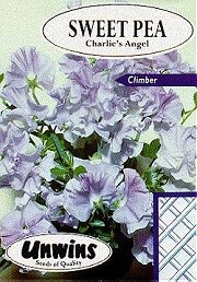 SWEET PEA CHARLIES ANGELS - 