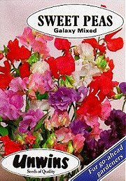 SWEET PEA GALAXY MIXED - Hardy Annual