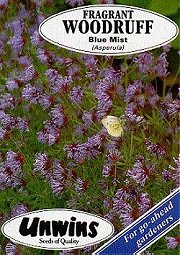 WOODRUFF BLUE MIST - Hardy Annuals