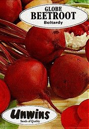 BEETROOT BOLTARDY - 