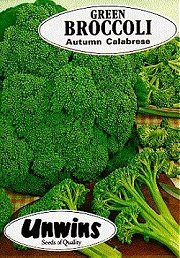 BROCCOLI AUTUMN CALABRESE - 