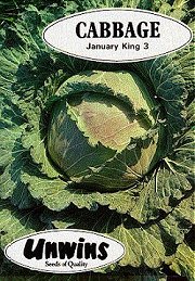 CABBAGE (SAVOY) JANUARY KING - 
