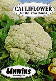 CAULIFLOWER ALL THE YEAR - 