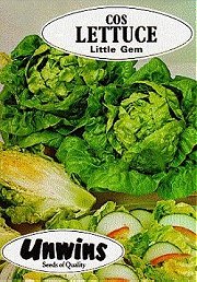 LETTUCE (COS) LITTLE GEM -