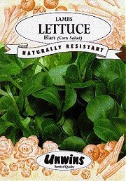 LETTUCE (LAMBS) ELAN - 