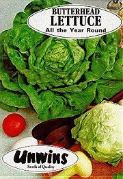 LETTUCE ALL THE YEAR ROUND -