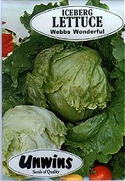 LETTUCE WEBBS WONDERFUL -